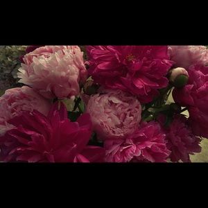 Meet your Posher, Fran